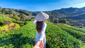 Circuit au Vietnam : immersion dans la culture et les traditions locales !